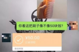 始兴企业清欠服务